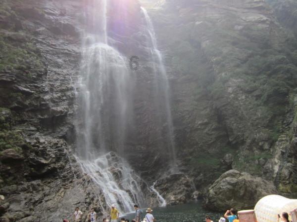 常用“黄芪”泡水喝,过段时间,这4个“问题”或许能得到改善
